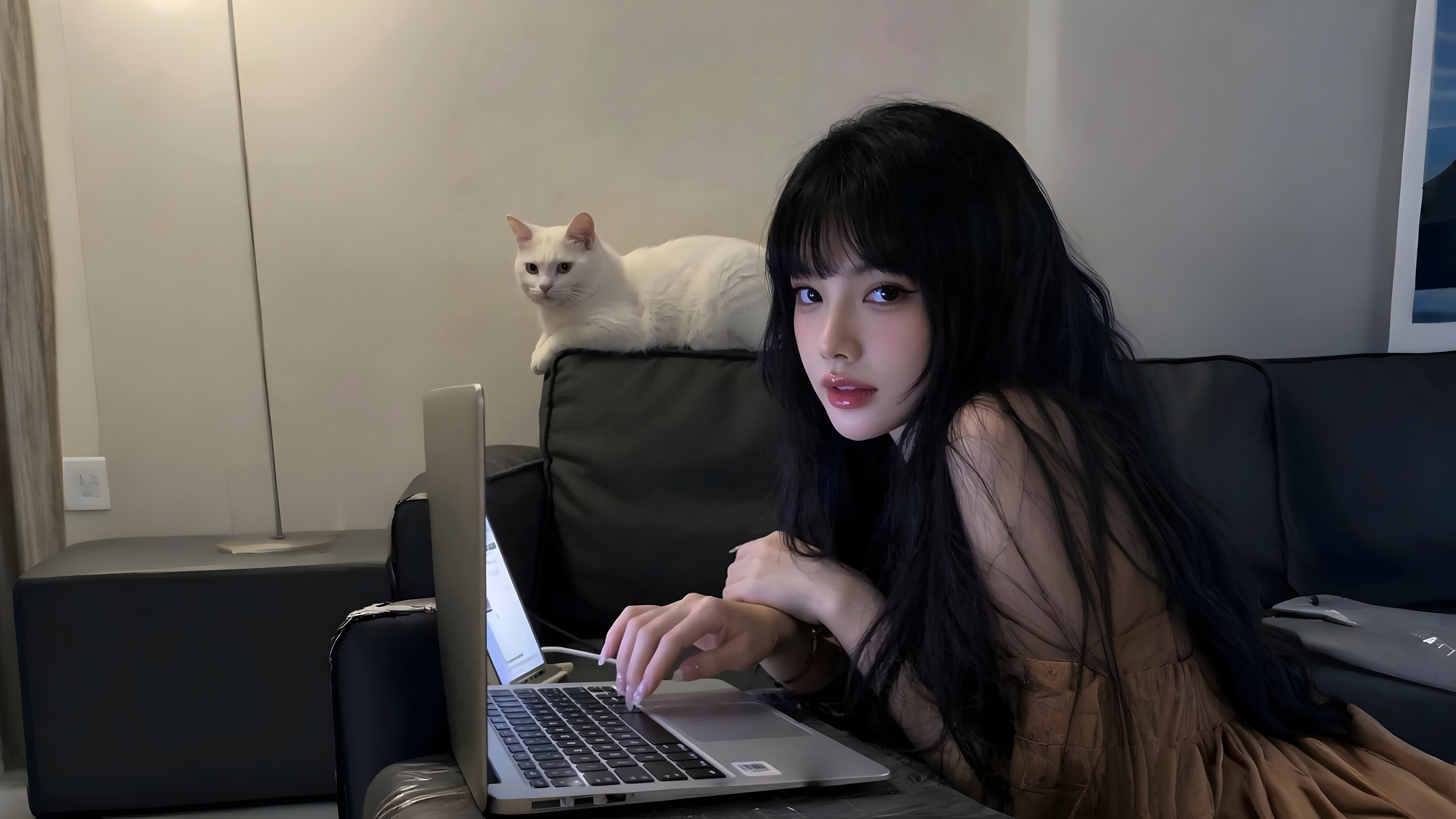 壁纸
